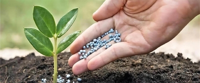 qualidade Aditivos do alimento e da alimentação fábrica