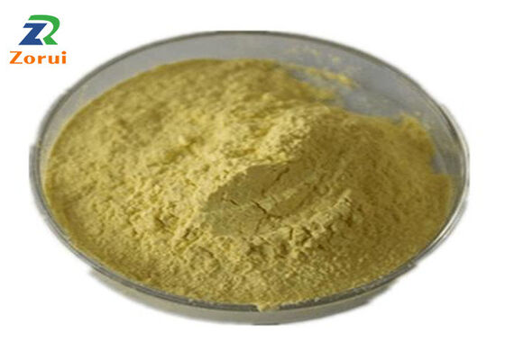 Bom preço. Extracto de Sophora Japonica/ Quercetina em pó para supressor de tosse e expectorante CAS 117-39-5 on-line
