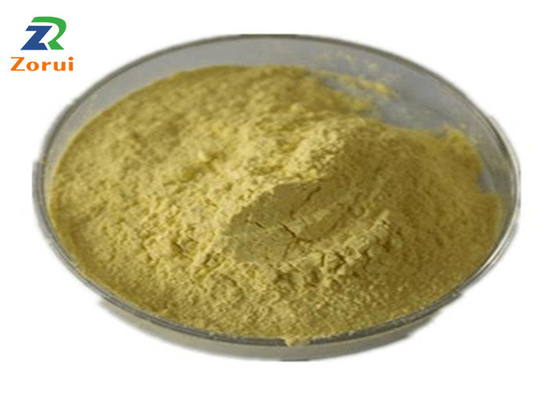 Bom preço. Volume do pó da quercetina do extrato de Japonica do Sophora para o expectorante repressivo CAS 117-39-5 da tosse on-line