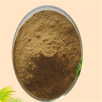 Bom preço. CAS 84604-15-9 Serenoa Serrulata Extracto de frutas ISO Factory Saw Palmetto Extract on-line