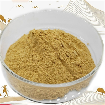 Bom preço. CAS 90045-38-8 Extracto de ginseng Suplemento dietético Extracto de raiz de ginseng Panax on-line