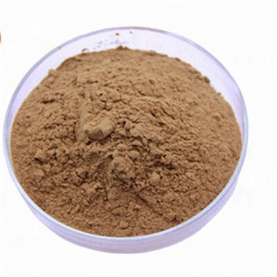 Bom preço. CAS 90045-36-6 Antioxidantes Ginkgo Biloba Extracto de Folha de Polvo de Planta Cultivada Ingrediente on-line