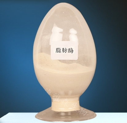 Bom preço. Enzima lipase CAS 9001-62-1 para o metabolismo dos lipídios 99% de pureza on-line