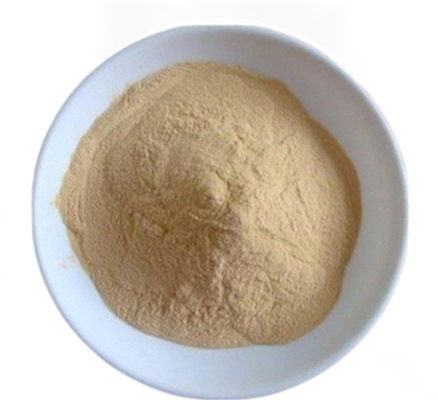 Bom preço. CAS 8013-01-2 Extracto de levedura de Saccharomyces Cerevisiae para melhorar o sabor on-line