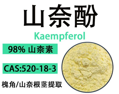 Bom preço. CAS 520-18-3 formulações antioxidantes e antienvelhecimento 98% Kaempferol pó cristalino amarelo on-line