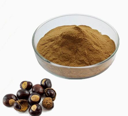 Bom preço. Extrato de semente de CAS 8053-39-2 Aesculus Hippocastanum Cosméticos antienvelhecimento Extrato de castanha da Índia on-line