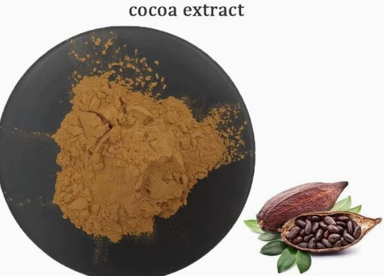 Bom preço. Extrato do cacau de CAS 84649-99-0 Theobroma para o extrato do cacau do alimento e da bebida on-line