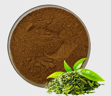 Bom preço. Extracto de chá verde natural CAS 84650-60-2 Pó de polifenóis de chá de qualidade cosmética on-line