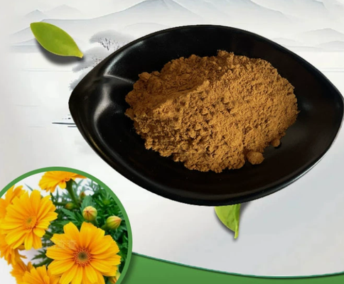 Bom preço. Extracto de Calendula Officinalis Natural CAS 84776-23-8 Pó de qualidade cosmética on-line